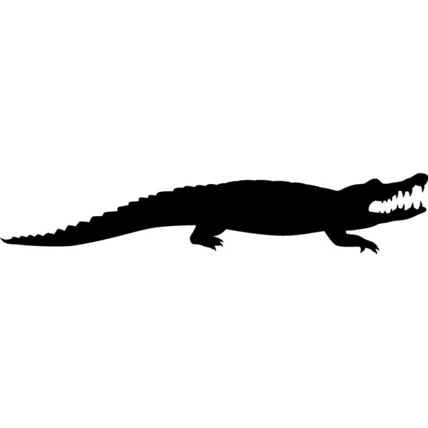 Alligator3 Thumbnail