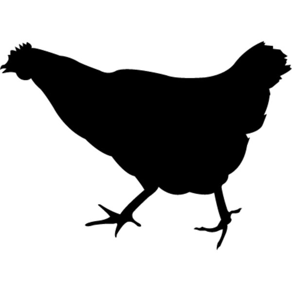 Chicken6 Thumbnail