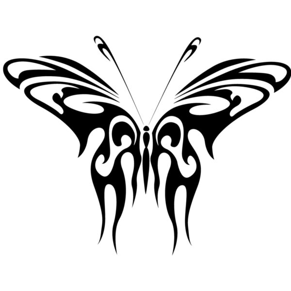Butterfly3 Thumbnail