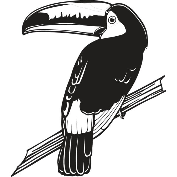 Toucan1 Thumbnail