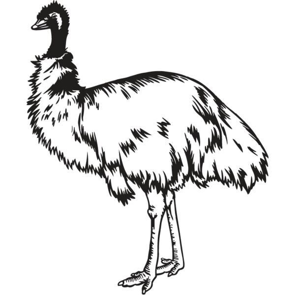 Emu Thumbnail