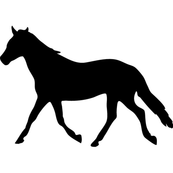 Horse Silhouette4 Thumbnail