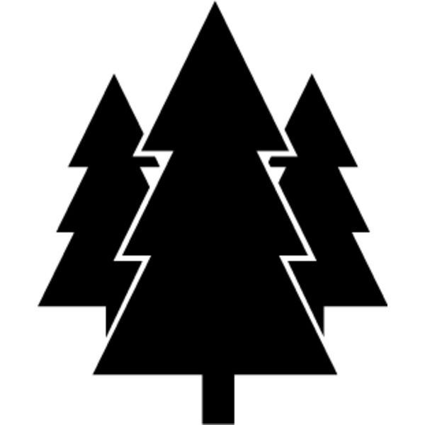 Forest2 Thumbnail