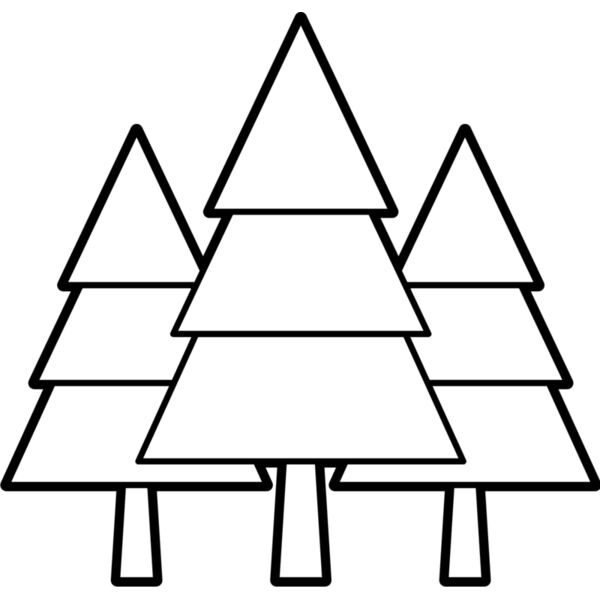 Forest1 Thumbnail