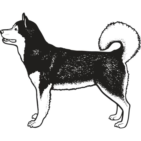 Malamute1 Thumbnail