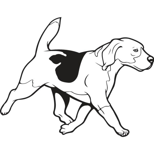 Beagle3 Thumbnail