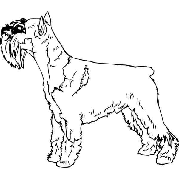 Standard Terrier Thumbnail