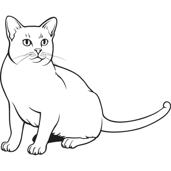 Cat35 Thumbnail