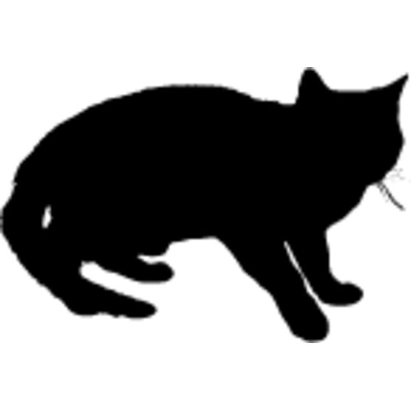 Cat31 Thumbnail