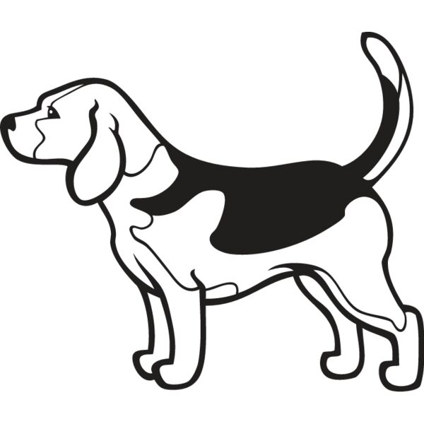 Beagle4 Thumbnail
