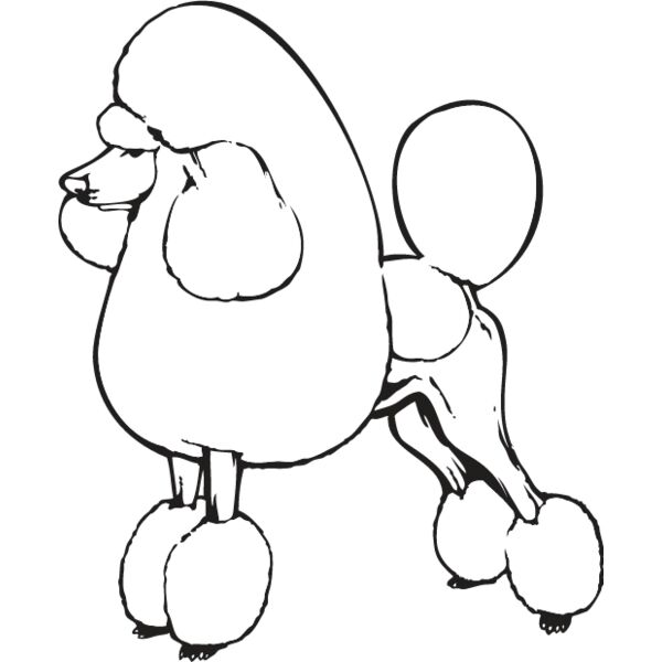 Poodle1 Thumbnail