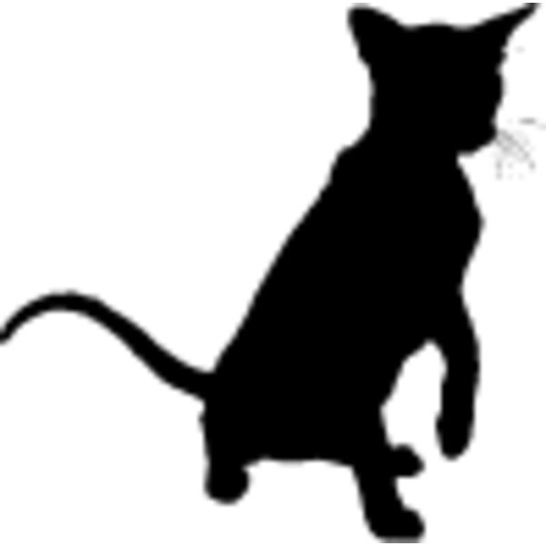 Cat33 Thumbnail