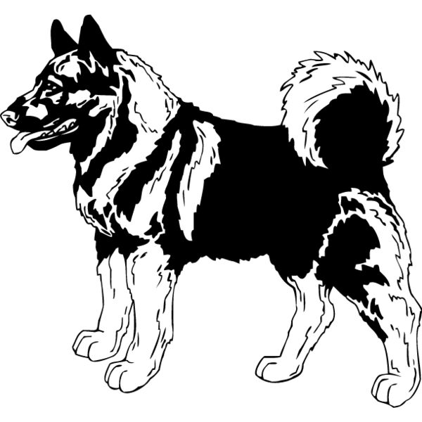 Elkhound Thumbnail