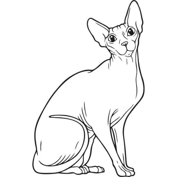 Cat44 Thumbnail