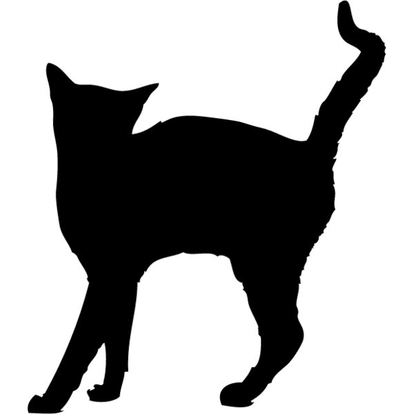 Cat1 Thumbnail