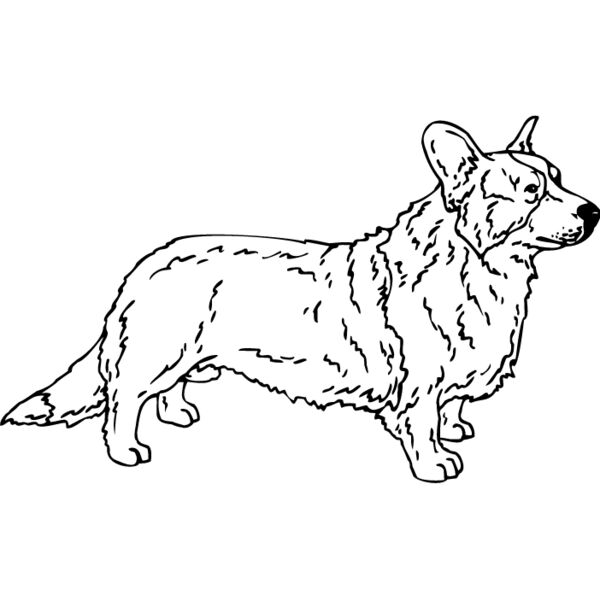 Corgi1 Thumbnail