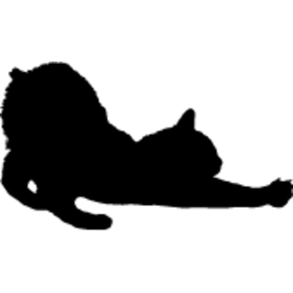 Cat34 Thumbnail