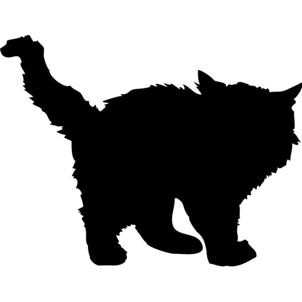 Cat4 Thumbnail