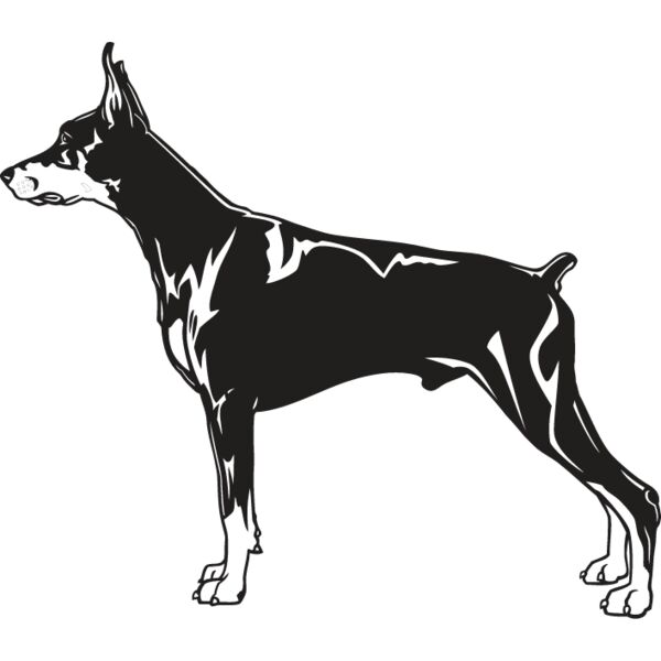 Doberman2 Thumbnail