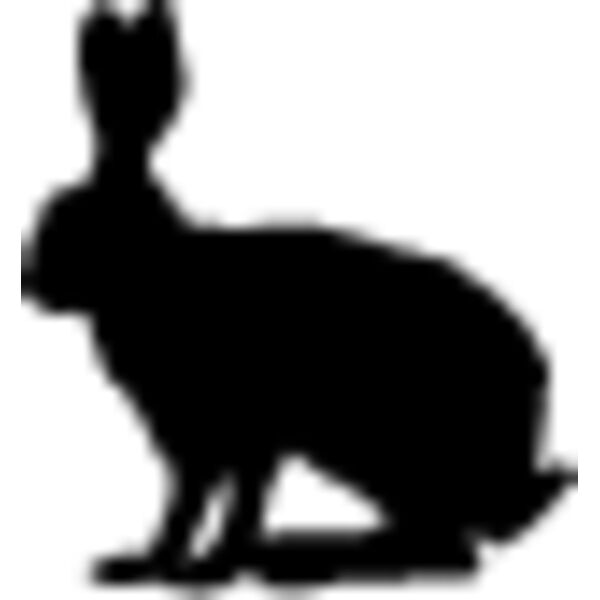 Rabbit8 Thumbnail