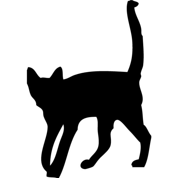 Cat2 Thumbnail