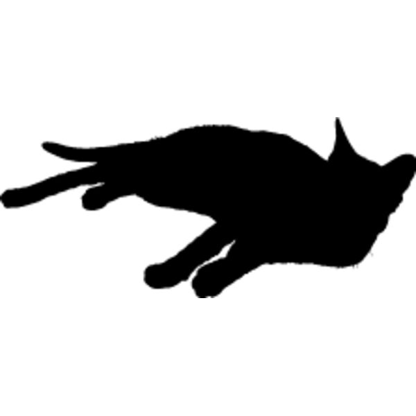 Cat30 Thumbnail