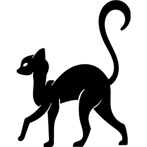 Elegant Cat6 Thumbnail