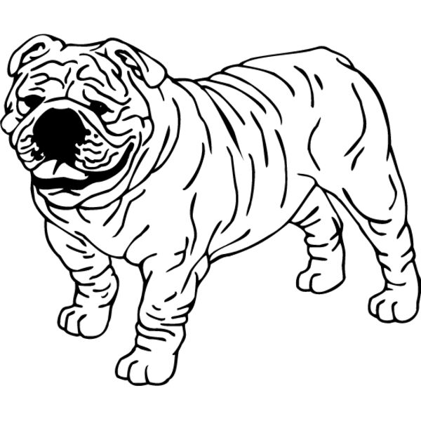Bulldog1 Thumbnail