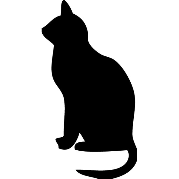 Cat3 Thumbnail