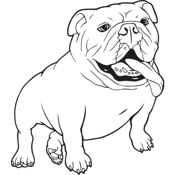 Bulldog2 Thumbnail