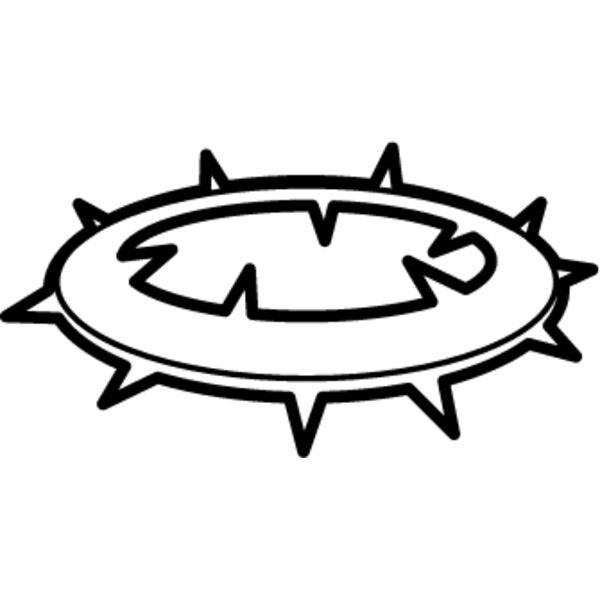 Crown of Thorns Thumbnail