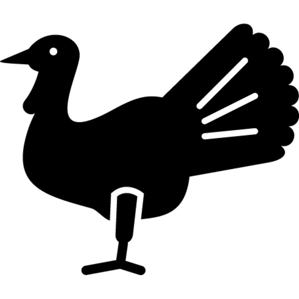 Turkey1 Thumbnail