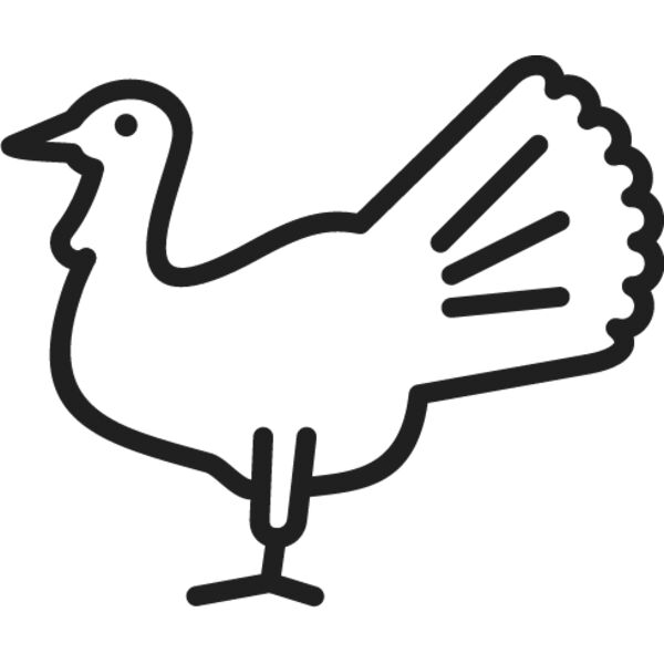 Turkey2 Thumbnail