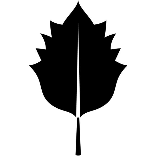 Leaf7 Thumbnail