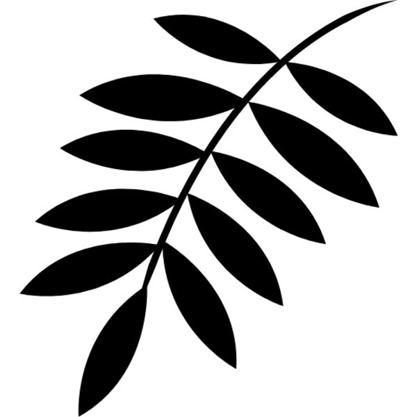 Leaf3 Thumbnail