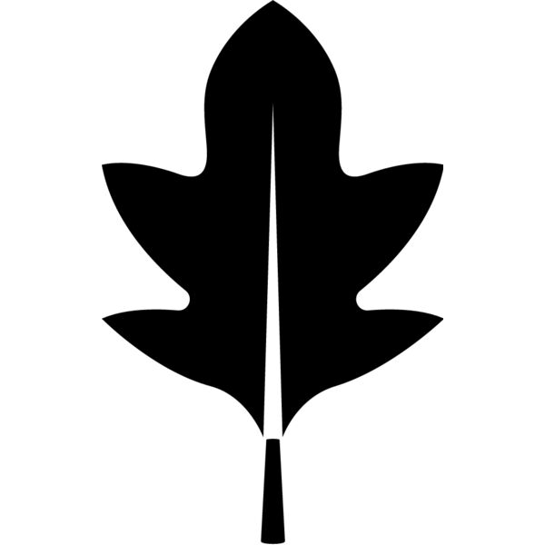 Leaf12 Thumbnail