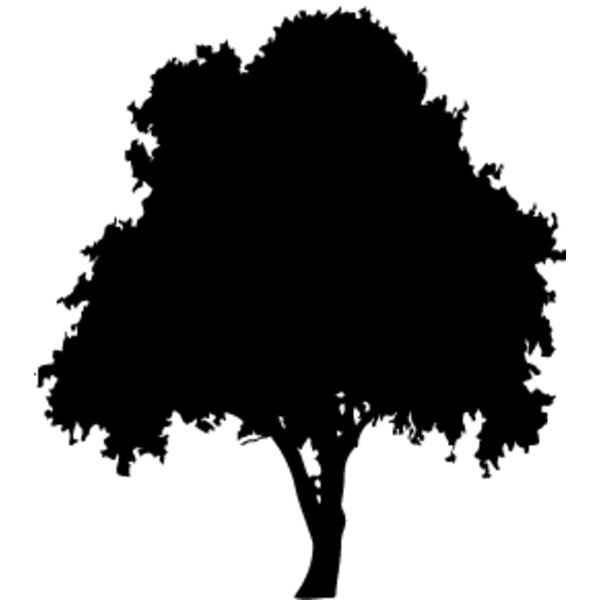 Oak Tree3 Thumbnail