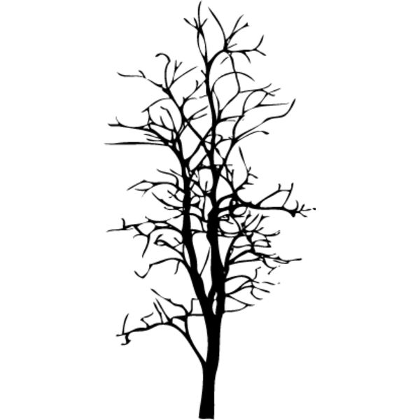 Bare Tree4 Thumbnail