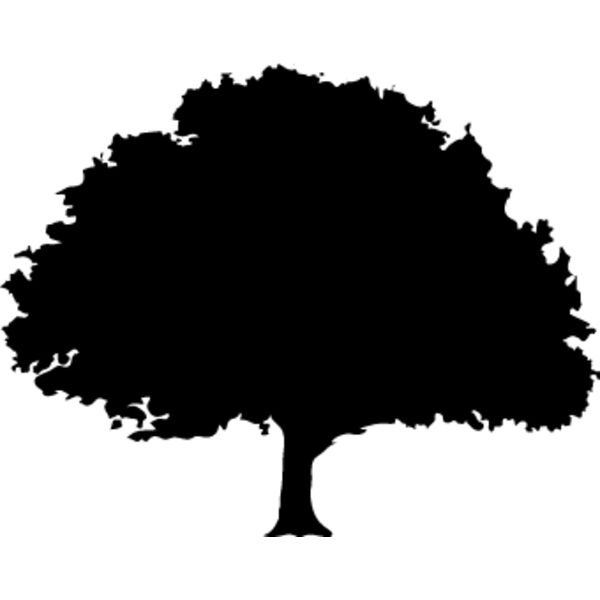 Oak Tree1 Thumbnail