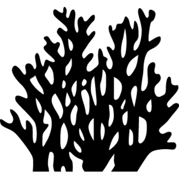 Coral Thumbnail