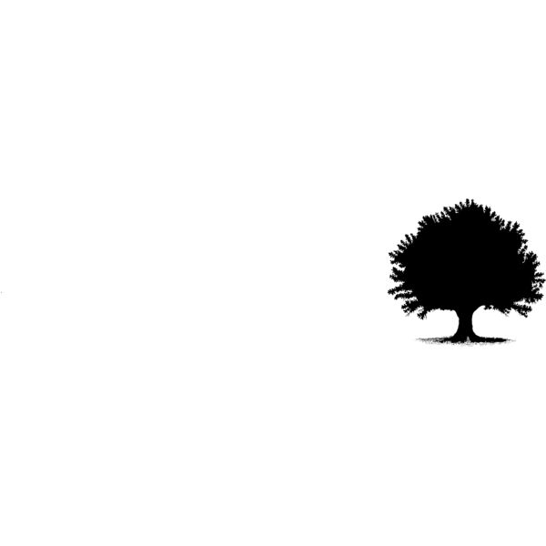 Oak Tree6 Thumbnail