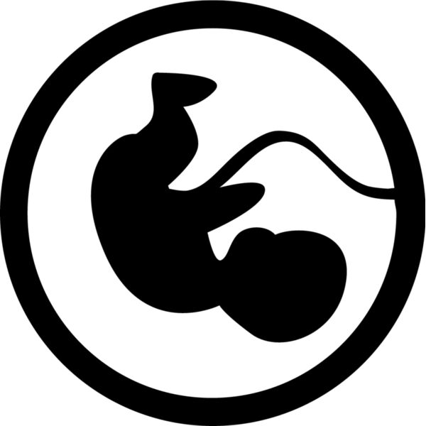 Fetus Thumbnail