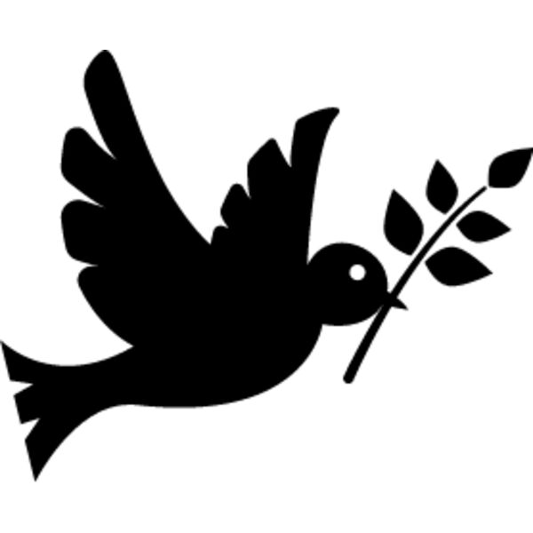 Dove1 Thumbnail