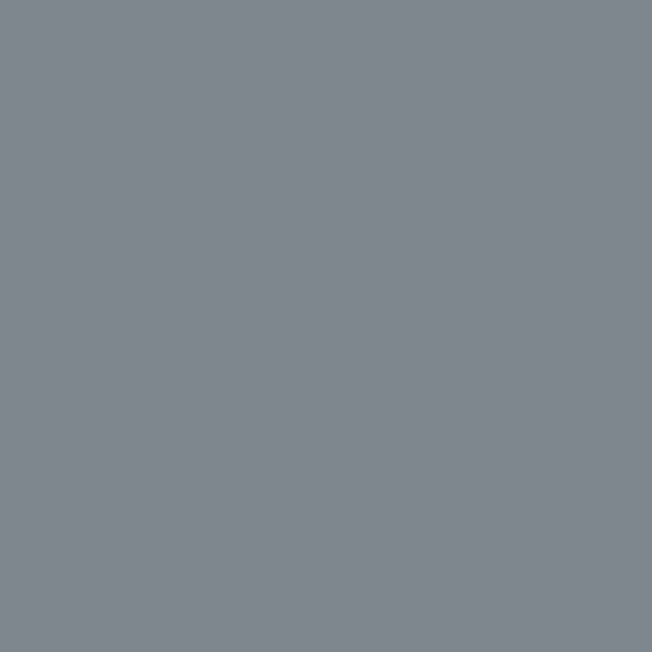 Medium Grey - PMS 430C (1918) Thumbnail
