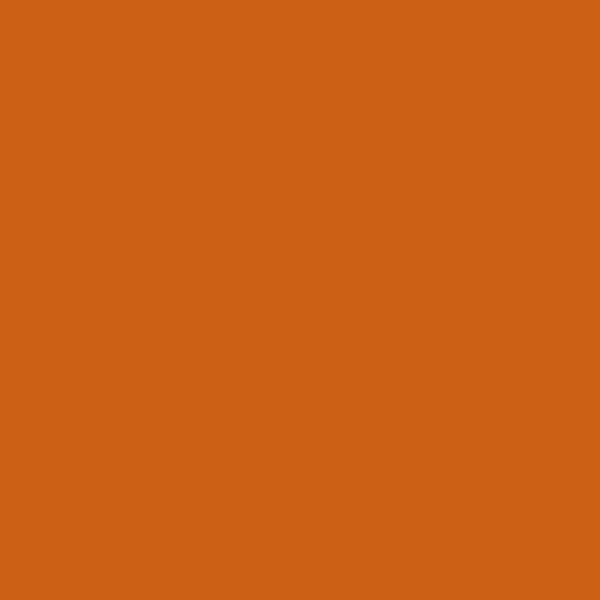 Texas Orange - PMS 159C (1835) Thumbnail