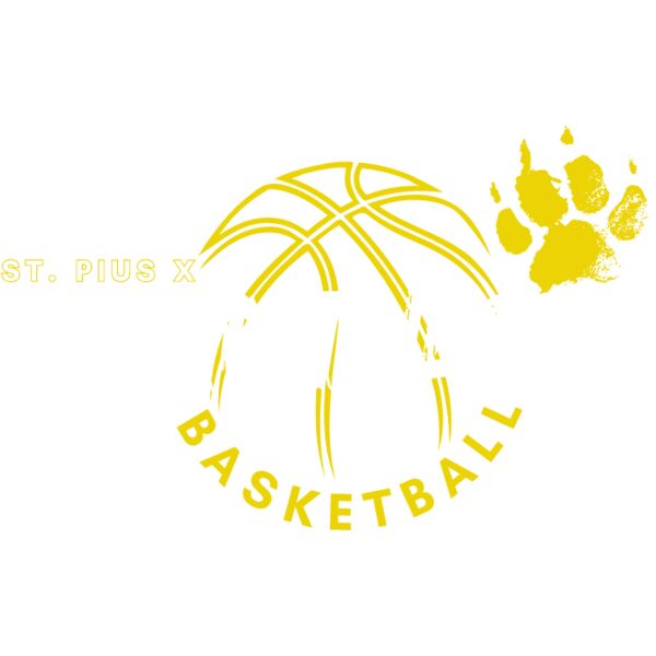 Panther Basketball Thumbnail