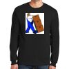 Ultra Cotton ® 100% Cotton Long Sleeve T Shirt Thumbnail
