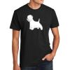 Unisex CVC Tee Thumbnail